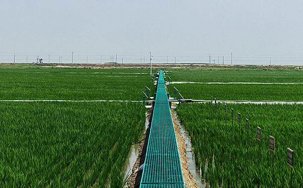 聚氨酯篩網(wǎng)的選擇及工藝介紹